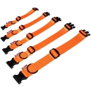 Halsband BASIC - orange